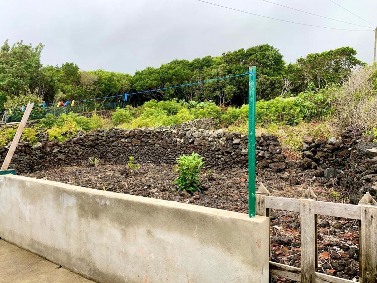 Casa Avo Sao Miguel Villa Angra do Heroísmo Eksteriør bilde